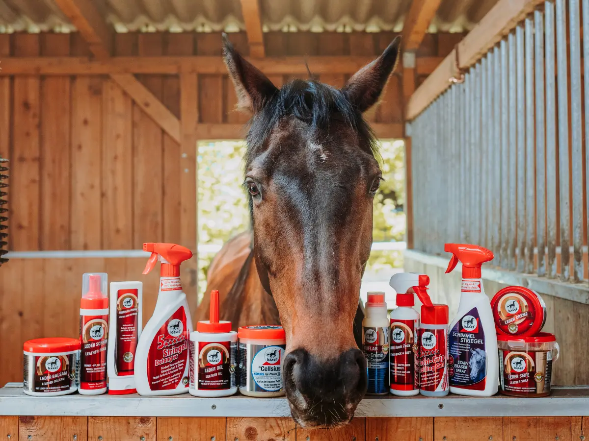Reitsport-Bundles